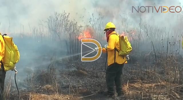 Mil combatientes entrarán en acción para evitar incendios forestales en Michoacán 