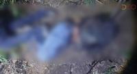 Encuentran 7 ejecutados con huellas de violencia en “narcocampamento” de Chilchota