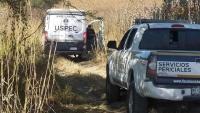Identifican 2 de los 11 cadáveres hallados en fosas clandestinas de Tarímbaro 