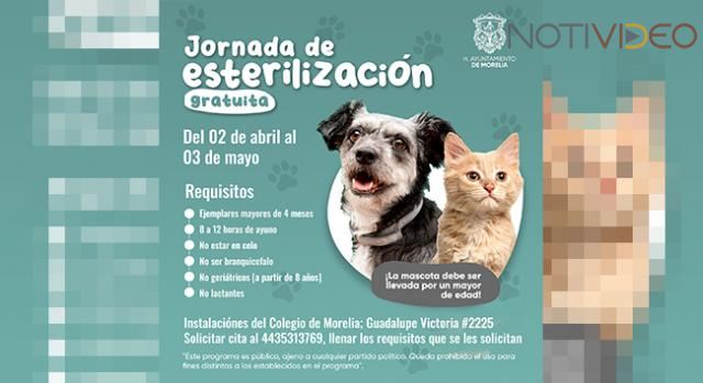 Gobierno de Morelia invita a Jornada de esterilización para mascotas