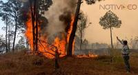 En Uruapan, incendio forestal terminó con 500 hectáreas de bosque 