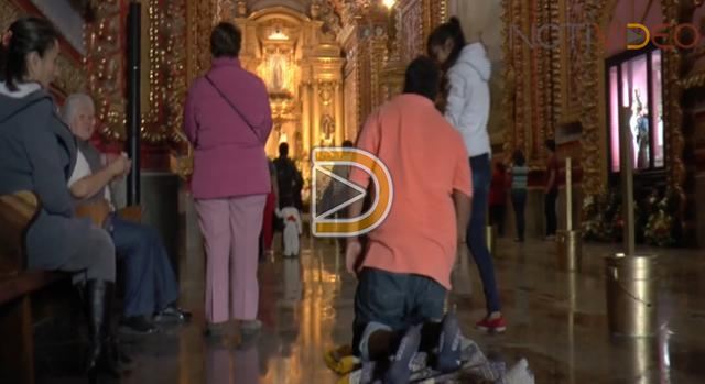 Michoacanos de rodillas ante la Virgen de Guadalupe