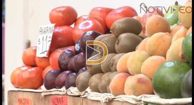 Verduras suben de precio; aguacate no tiene problema en abasto