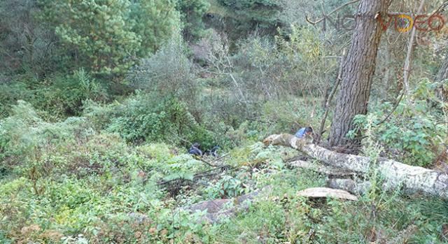 Un carro termina en el fondo de un barranco, hay tres heridos