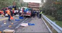 Camioneta se estrella contra un camión cargado con madera, dos personas quedaron lesionadas 