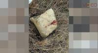 Hallan a hombre asesinado dentro de aljibe en La Aldea, Morelia 