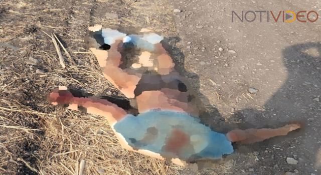 Dejan cuerpo decapitado a la orilla de la carretera 