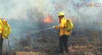Mil combatientes entrarán en acción para evitar incendios forestales en Michoacán 