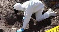 Encuentran Cadáveres de 19 Hombres y 5 Mujeres en Fosa Clandestina