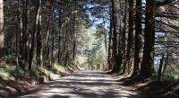 Riqueza y variedad en producción ofrece la zona sur de Morelia
