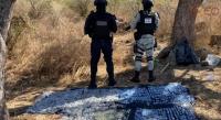 Aseguran más de mil 300 dosis de droga en un campamento utilizado por una célula delictiva en Chavin