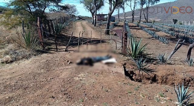 Encuentran un ejecutado en Tangancícuaro; le dejan narcomensaje