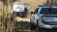 Hallan 11 cuerpos putrefactos en fosa clandestina en Tarímbaro 