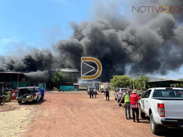 Arde empaque de mangos en Gabriel Zamora