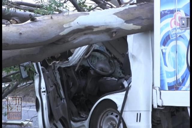 Fuertes vientos provocan daños  en la capital michoacana.