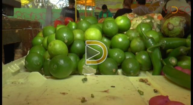 Aumenta precio del limón en Michoacán