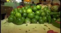 Aumenta precio del limón en Michoacán