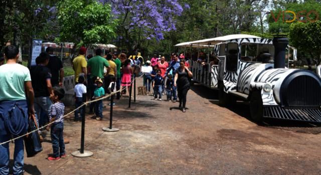 Más de 40 mil personas visitarán el Parque Zoológico estas vacaciones