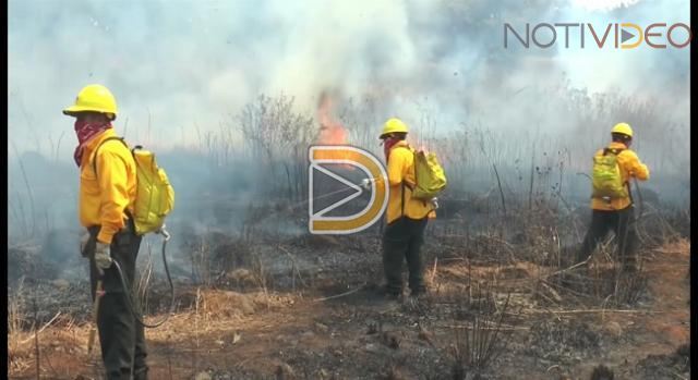 De 8 a 10 incendios diarios en Morelia son atendidos en temporada de calor