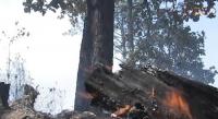 Michoacán registra 140 incendios forestales