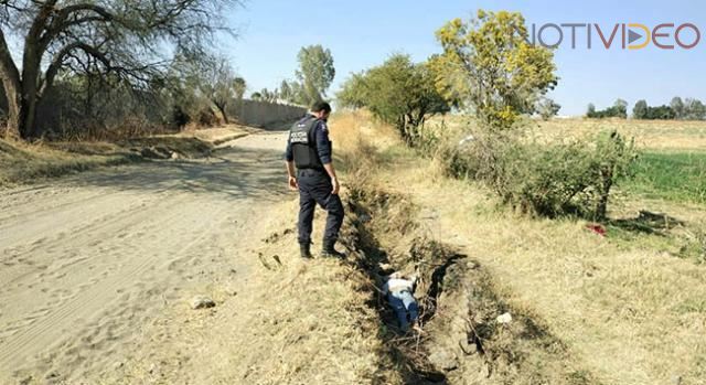 Localizan el cuerpo de una mujer asesinada 