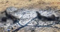 Queman dos personas en Tangancícuaro, no está identificadas.