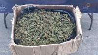 Guardia Civil asegura a cuatro con 446 dosis de metanfetamina y 22 kilos de marihuana