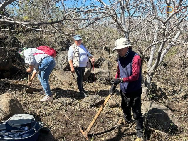 Hallan restos de otras 6 personas en fosas de Jacona; suman 11 durante esta semana