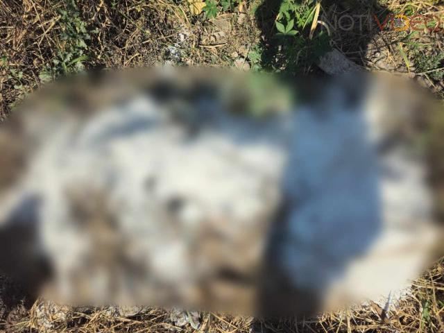 Hallan cadaver decapitado y semienterrado debajo del puente La Joya, en Apatzingán