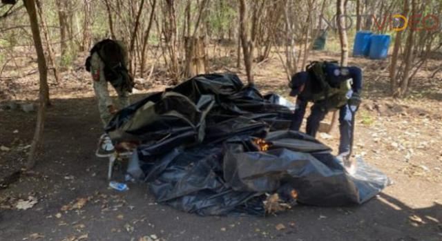 SSP y Defensa localizan campamento clandestino en Parácuaro
