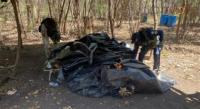 SSP y Defensa localizan campamento clandestino en Parácuaro