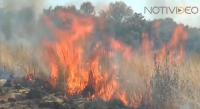 Lanzan campaña contra incendios forestales en Michoacán