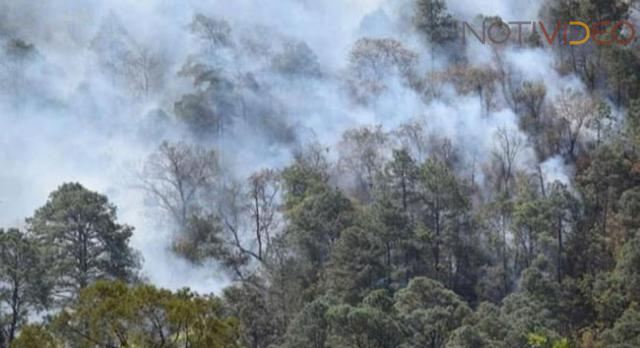 Avanza el incendio en Tuxpan y el helicóptero prometido por el gobierno  nunca llegó