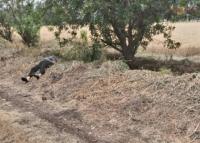 Jovencita de 22 años es ejecutada de un balazo en la brecha del Olimpo en Zamora 