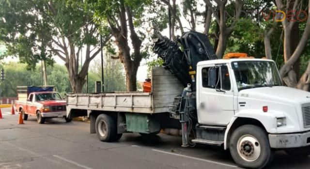 Por labores de poda, se pide precaución vial sobre Avenida Solidaridad