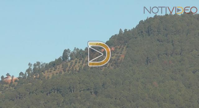 Propondrán elevar penas de delitos contra el medio ambiente