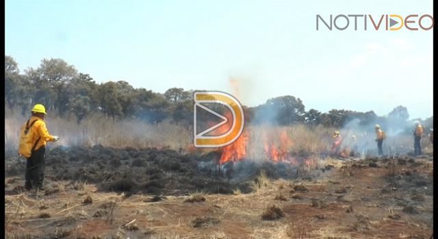 Al menos 90 por ciento de incendios forestales intencionados: Semaccdet