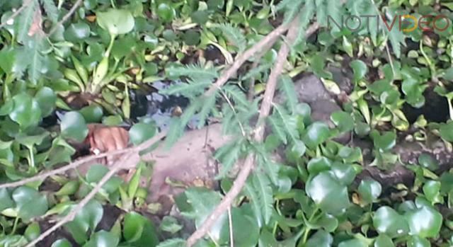 Localizan muerto en un río a un hombre mayor extraviado 
