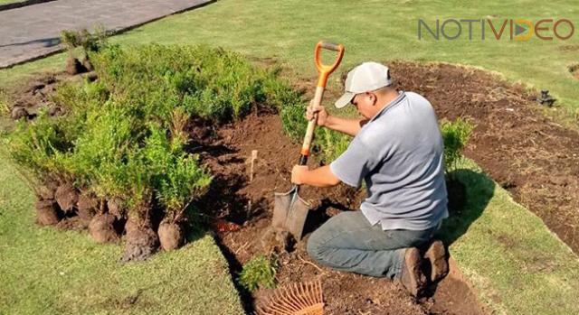 Ayuntamiento de Morelia continúa con acciones permanentes de cuidado en el Centro Histórico