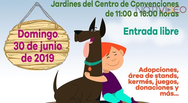 Anuncian Festival de Adopción Verano 2019