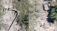 Tala Ilegal Devasta 200 Hectáreas de Bosque en Uruapan  