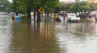 Lluvia en Morelia deja encharcamientos y 6 árboles caídos