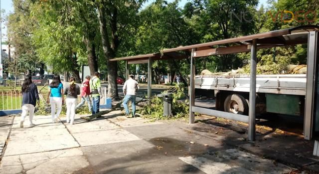 Comité de Prevención de Inundaciones atiende contingencias causadas por lluvias de este domingo  