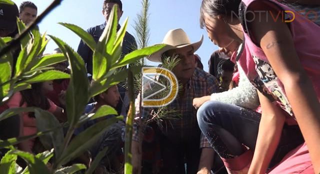 Arranca campaña de reforestación en zonas rurales de Michoacán