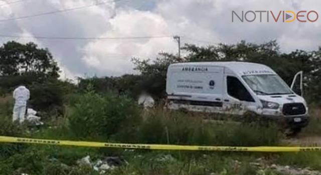 Localizan una fosa con tres cuerpos