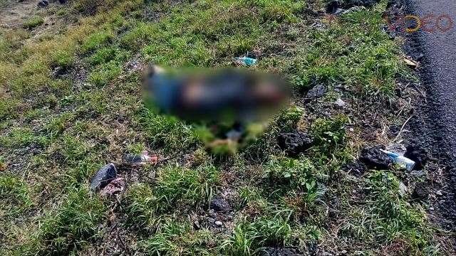 Vehículo desconocido embiste y mata a un hombre en la Zamora – La Piedad