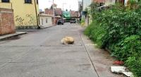 Abandonan un cadáver encostalado en la colonia Ejidal Sur  