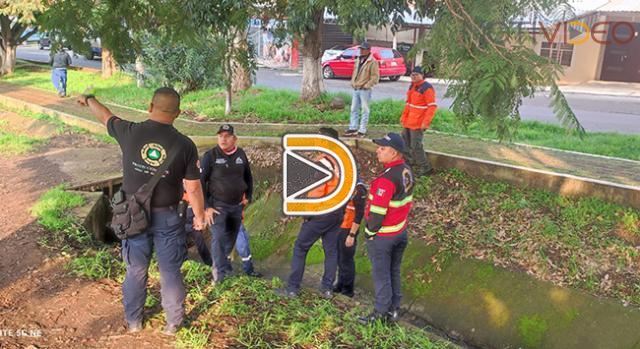 Sigue desaparecido Santiago, niño de 8 años arrastrado tras lluvia en Ario