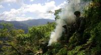 Ejército Mexicano ubica y destruye 14 plantíos de marihuana en Villa Madero