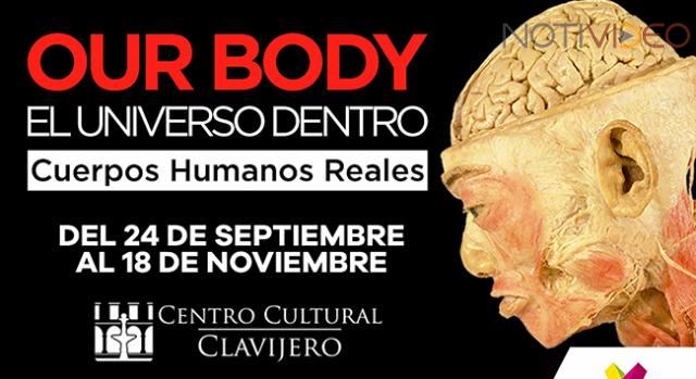 Our Body, la exposición itinerante más famosa del mundo llega a Michoacán 